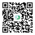 移動(dòng)端